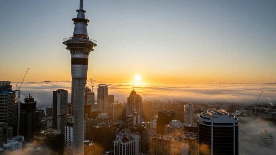 Mt. Eden, Piha Beach & Karekare Waterfalls - PRIVATE TOUR - Why This Tour Works for You