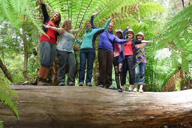 Mt Field, Mt Wellington & Tassie Devils Active Tour from Hobart - Practical Details and What It Means for You