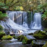 Mt Field National Park and Russell Falls from Hobart - A Deep Dive into the Tour Experience