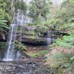 Mt Field Shore Excursion - What’s Included and How It Adds Value