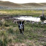 Mt. Longonot: 1-Day Volcano Hike Adventure - Why This Tour Offers Good Value