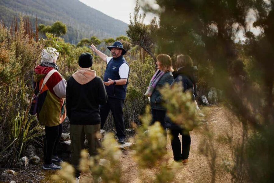 Mt Wellington Ultimate Afternoon Tour - In-Depth Look at the Mt Wellington Tour Experience