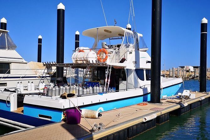 Muiron Island Diving Tour - Is It Worth the Price?