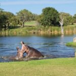 Multi-day Golf & Kruger Park Safari Tour from Johannesburg - What’s Included and What’s Not