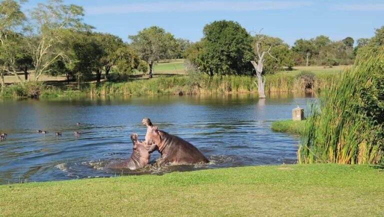 Multi-day Golf & Kruger Park Safari Tour from Johannesburg - What’s Included and What’s Not