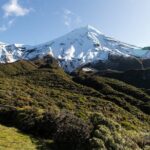 Multi Day Tour to New Plymouth and Taranaki Region from Hamilton - Exploring the Highlights of the 3-Day Taranaki Tour