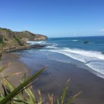 Muriwai Scenic Wine Tour from Auckland - Who Will Enjoy This Tour?