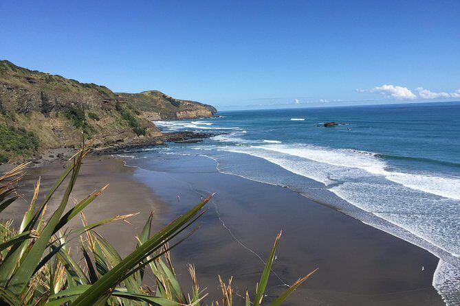 Muriwai Scenic Wine Tour from Auckland - Who Will Enjoy This Tour?