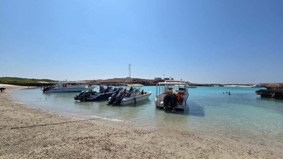 Muscat: Daymaniat Islands Boat Trip with Snorkelling - An In-Depth Look at the Daymaniat Islands Boat Trip