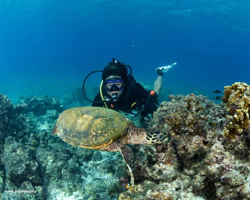 MUSCAT: Daymaniyat Island Snorkeling & Try-Dive + BBQ Lunch - Final Thoughts: Who Should Book This Experience?
