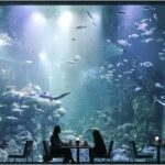 Muscat: Oman Aquarium Entry Ticket - Key Points