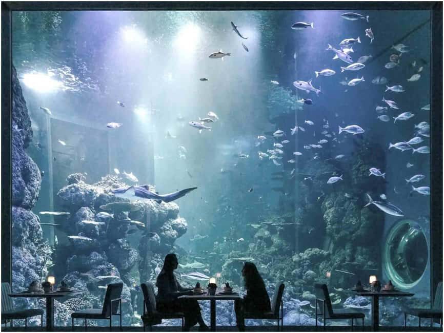 Muscat: Oman Aquarium Entry Ticket - Key Points