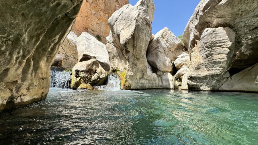 Muscat: Wahiba Desert and Wadi Bani Khalid Guided Group Tour - Authenticity and Guides