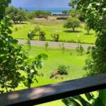 Must-Do : Nature, Culture & Moments Uniques  MirimirI Tours - What to Expect During the Tour
