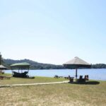 Mwanza: Rubondo Island 5-Day Safari with Meals - Day 1: Arrival in Mwanza & Transfer to Rubondo Island