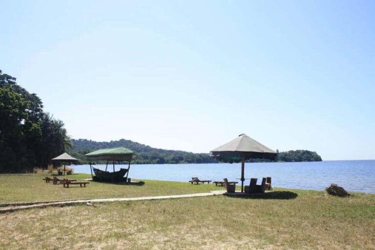Mwanza: Rubondo Island 5-Day Safari with Meals - Day 1: Arrival in Mwanza & Transfer to Rubondo Island