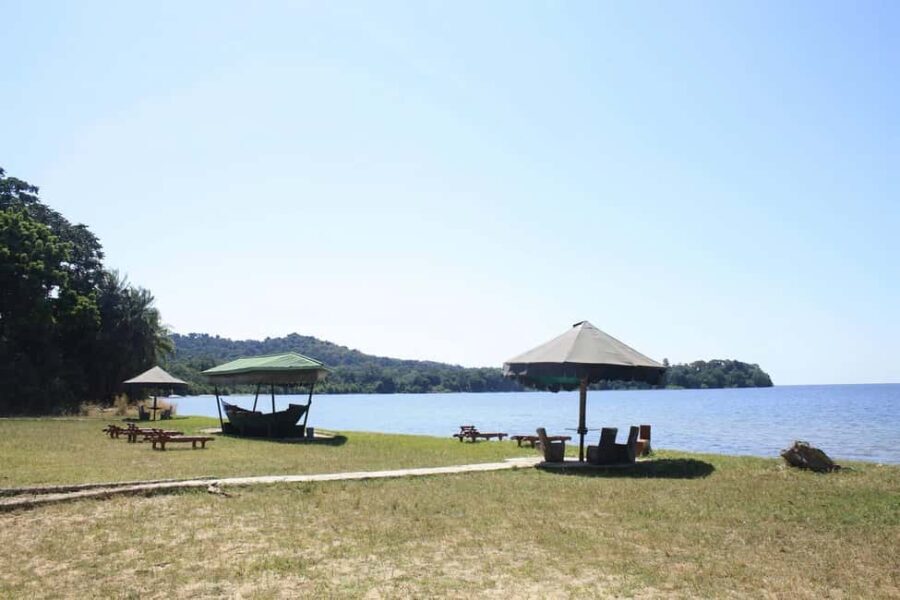 Mwanza: Rubondo Island 5-Day Safari with Meals - Day 1: Arrival in Mwanza & Transfer to Rubondo Island