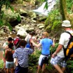 NADI: Nalesutale Village Half Day Tour - An In-Depth Look at the Tour Itinerary