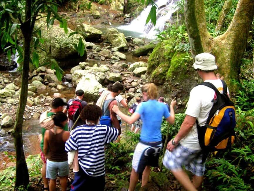 NADI: Nalesutale Village Half Day Tour - An In-Depth Look at the Tour Itinerary