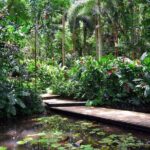 Nadi Sightseeing Including Viseisei Lookout, Village Tour, Garden & Temple Tour - Transportation, Group Size, and Logistics
