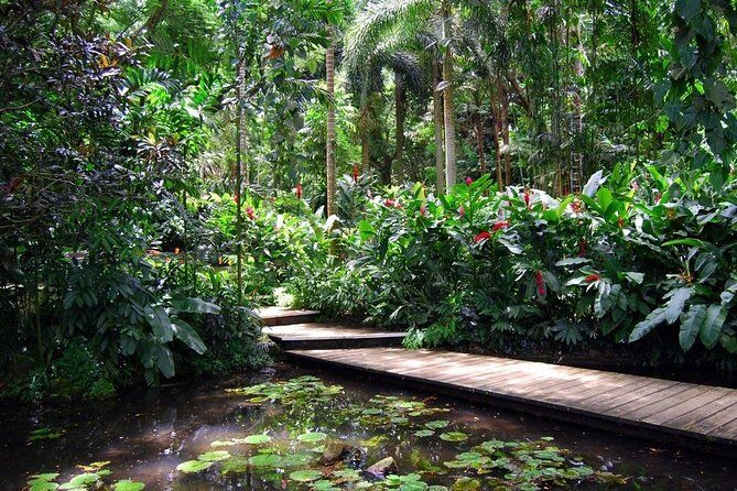 Nadi Sightseeing Including Viseisei Lookout, Village Tour, Garden & Temple Tour - Transportation, Group Size, and Logistics