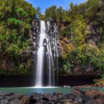 Nairobi: 3-Day Aberdare National Park Safari - Detailed Breakdown of the Tour