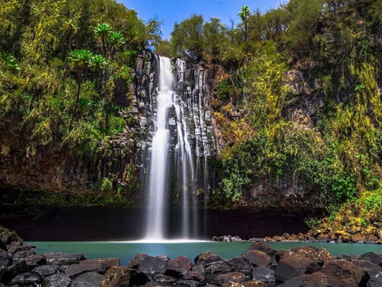 Nairobi: 3-Day Aberdare National Park Safari - Detailed Breakdown of the Tour