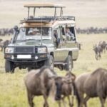 Nairobi: 3-Day Masai Mara Game Reserve Safari with Flights - What Sets This Safari Apart