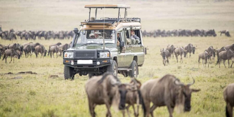 Nairobi: 3-Day Masai Mara Game Reserve Safari with Flights - What Sets This Safari Apart