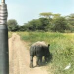 Nairobi: 3-Day Safari to Ol Pejeta and Ol Jogi Conservancies - Key Points