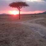 Nairobi: 3 Days Safari in Kenya - Day 1: Arrival and Maasai Village Visit