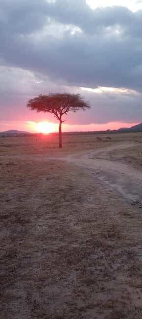 Nairobi: 3 Days Safari in Kenya - Day 1: Arrival and Maasai Village Visit