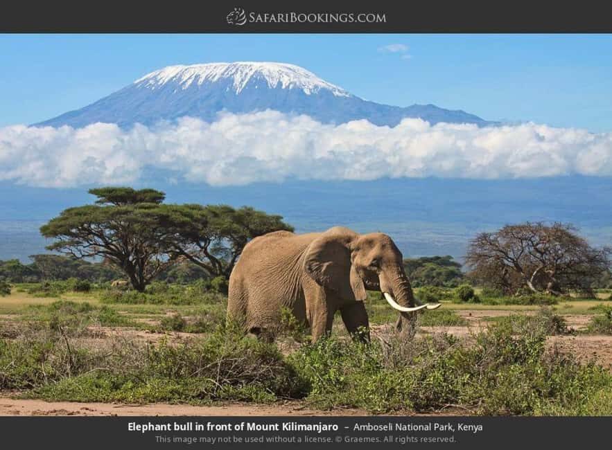 Nairobi: 4-Day Amboseli National Park Safari with Flights - What Makes This Safari Stand Out?