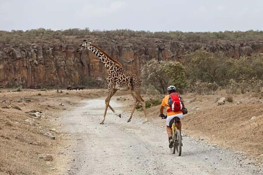 Nairobi: 4-Day Masai Mara, Lake Naivasha & Hell's Gate Tour - Day 1: Nairobi to Masai Mara – The Iconic Safari Begins