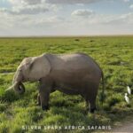 Nairobi: 5-Day Hells Gate, Lake Naivasha and Amboseli Parks - Authentic Encounters and Unique Highlights