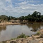 Nairobi: 5-Day Masai Mara, Nakuru and Naivasha Safari - Practical Details & What to Expect