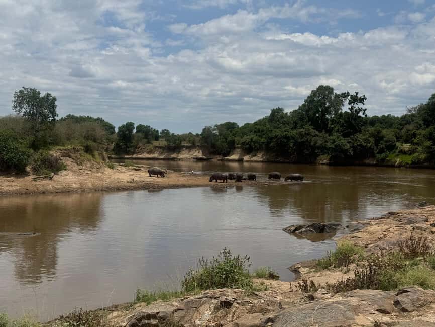 Nairobi: 5-Day Masai Mara, Nakuru and Naivasha Safari - Practical Details & What to Expect
