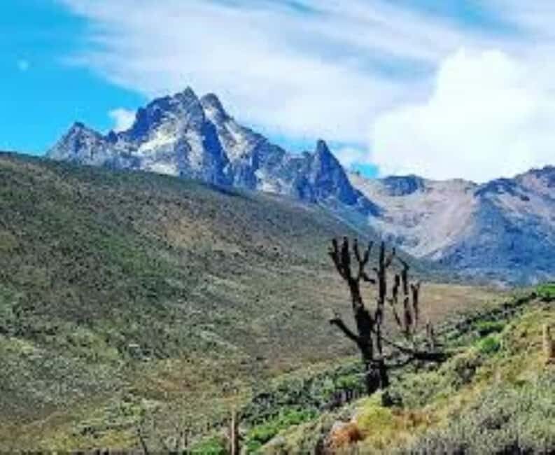 Nairobi: 5-Day Mount Kenya Climbing Tour - What Makes This Tour Stand Out?