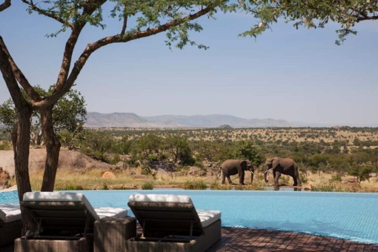 Nairobi: 9-Day Safari and Beach Holiday with Accommodation - Transport and Logistics