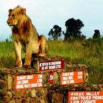 Nairobi Airport Layover:Tour Nairobi National Park with Fees - Who Should Consider This Tour?