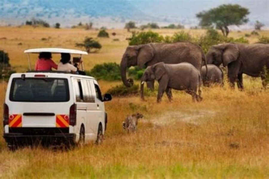 Nairobi: Amboseli National Park Day Tour with Lunch private. - Practicalities and What to Know