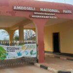 Nairobi: Amboseli National Park Day Trip with Game Drive - Practical Tips for Your Trip
