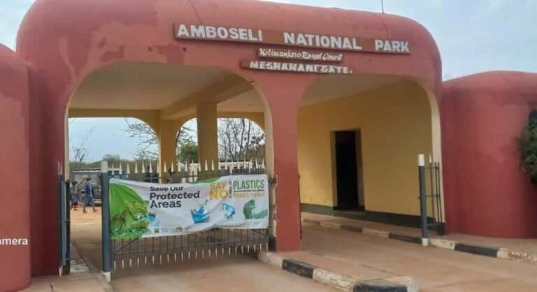 Nairobi: Amboseli National Park Day Trip with Game Drive - Practical Tips for Your Trip