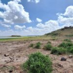 Nairobi: Amboseli National Park Day Trip with Game Drives - What’s Included & What’s Not