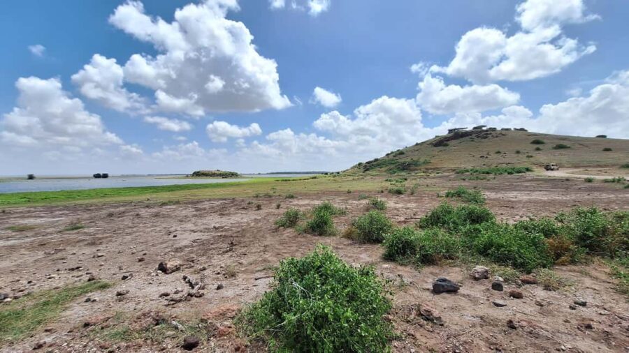 Nairobi: Amboseli National Park Day Trip with Game Drives - What’s Included & What’s Not