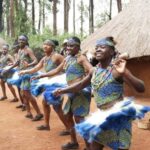 Nairobi Animal Orphanage, SafariWalk and Kenya Bomas Tour - The Value of This Tour