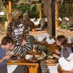Nairobi: Carnivore Restaurant Lunch or Dinner Experience - Vegetarian and Dietary Considerations