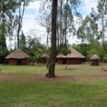 Nairobi: City Tour with Bomas of Kenya Visit - Who Is This Tour Best For?