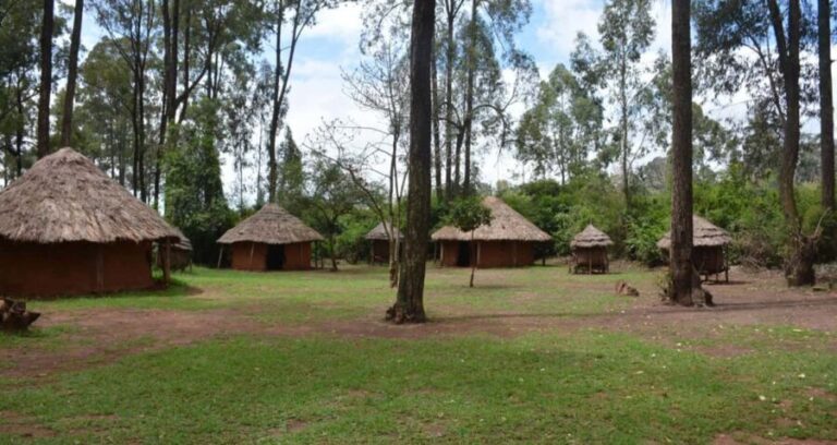 Nairobi: City Tour with Bomas of Kenya Visit - Who Is This Tour Best For?