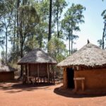 Nairobi City Tours - A Detailed Breakdown of the Itinerary